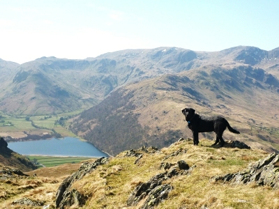 Morgan above Brotherswater