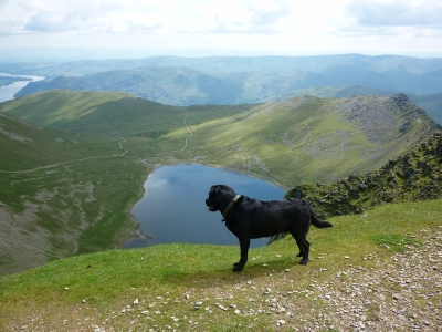 Morgan on the summit of Helvellyn