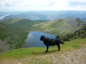 Morgan on the summit of Helvellyn