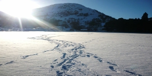 Jenkins Field Patterdale Winter 2011
