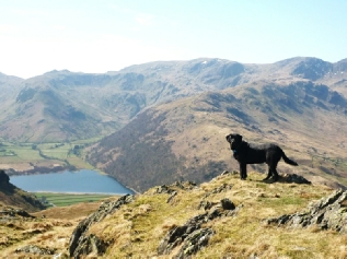 Morgan above Brotherswater