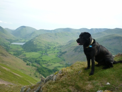 Morgan above the dale towards Brotherswater Morgan above the dale towards Brotherswater